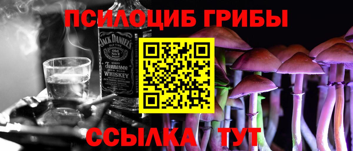 Галлюциногенные грибы Psilocybine cubensis Подольск