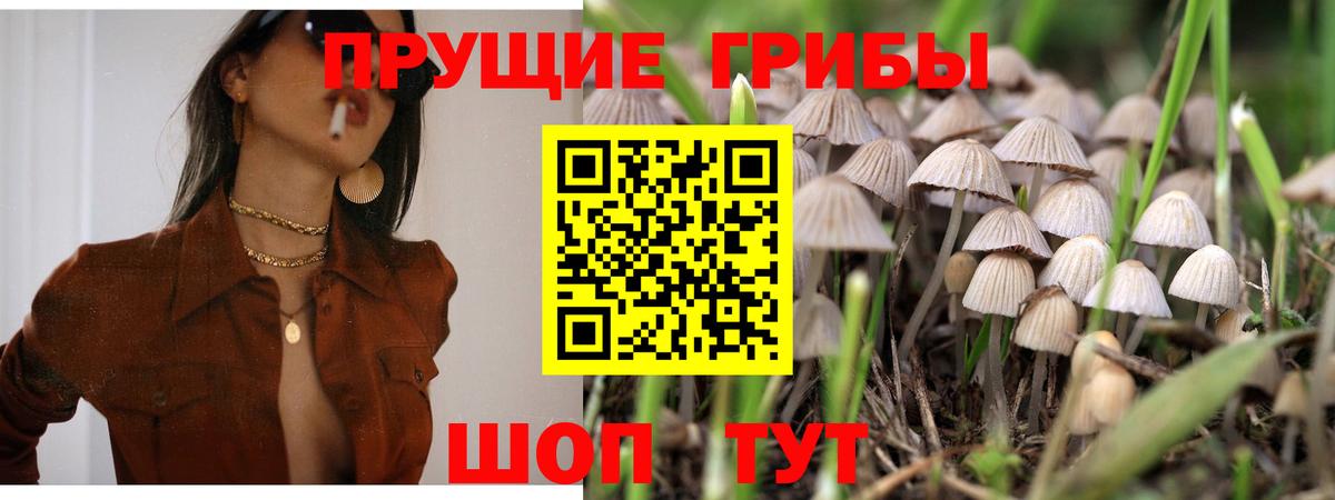 Псилоцибиновые грибы Psilocybine cubensis  Вход с VPN  продажа наркотиков  Подольск 
