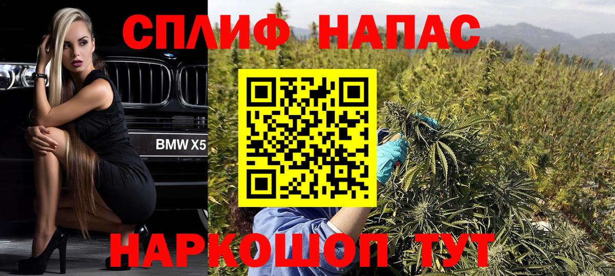 Канабис план Подольск